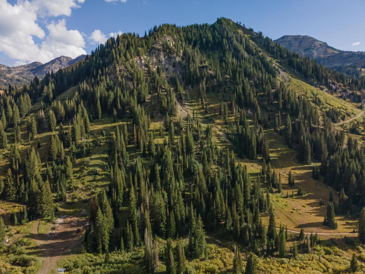 The Snowpine Lodge Alta Luaran gambar